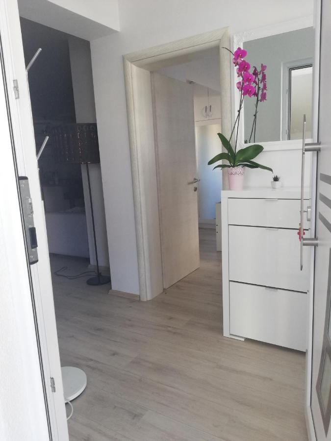 Apartmani Andrea 普罗马尼亚 外观 照片